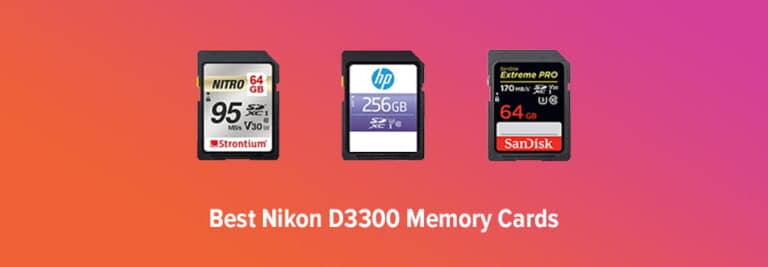 Nikon D3300 SD Cards
