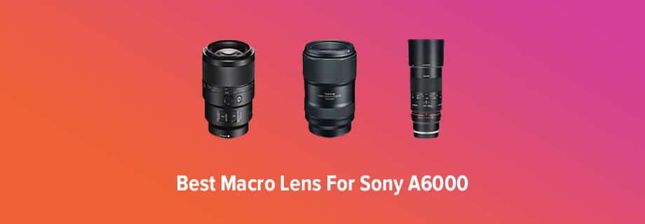 Best Macro Lens for Sony A6000