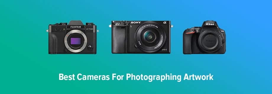 Best Cameras for Photographing Artwork