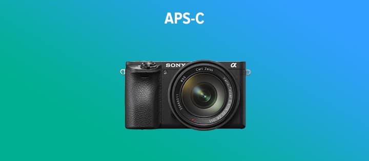 APS-C Mirrorless Camera