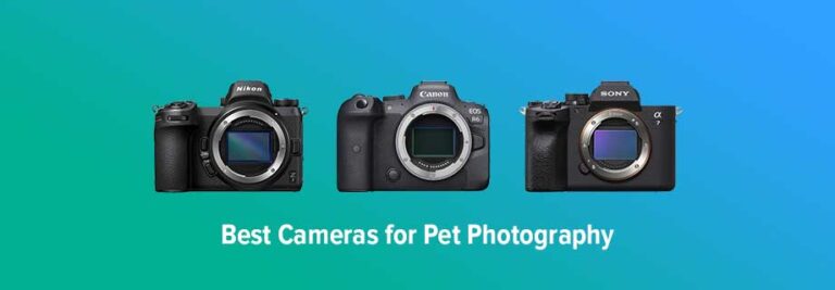 Best Cameras for Pet Photography